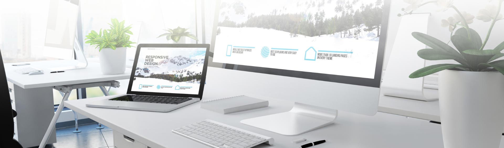 Website Development, Digital Marketing, SEO